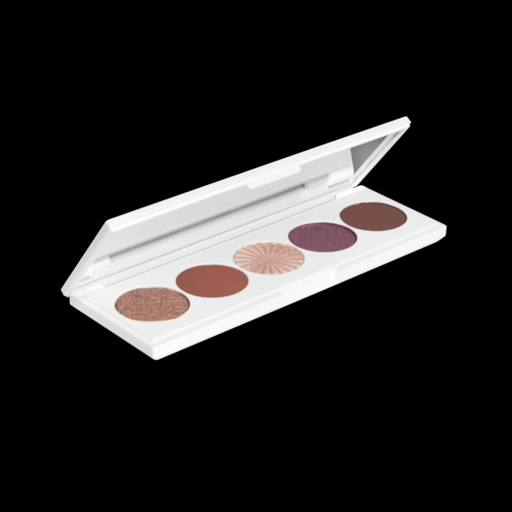 Nwt OFRA palette